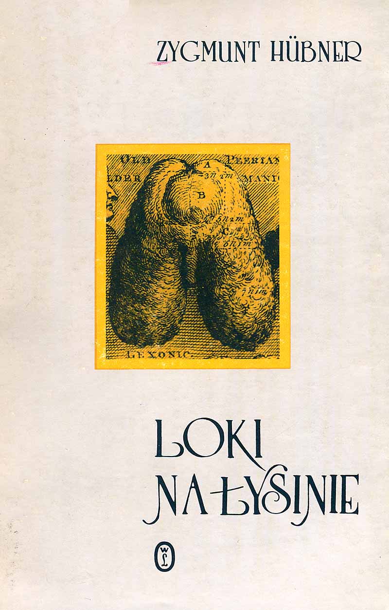 Loki na łysinie : wybór felietonów z lat 1976-1985